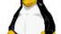 Linux a 17 ans