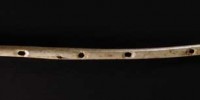 Le plus vieil instrument de musique aurait 35000 ans !